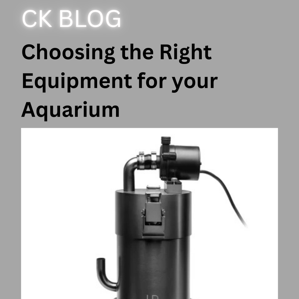 Choosing the Right Equipment for Your Aquarium (Freshwater & Saltwater) *Simplified Version*