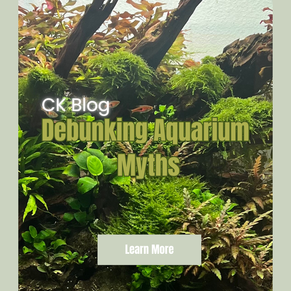 4 Myths Every Aquarist Should Unlearn