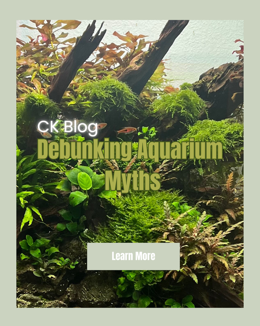4 Myths Every Aquarist Should Unlearn