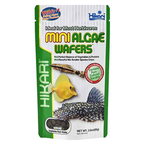 Hikari Mini Algae Wafers