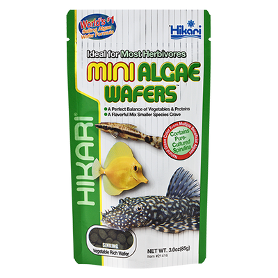 Hikari Mini Algae Wafers