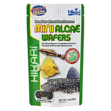  Hikari Mini Algae Wafers