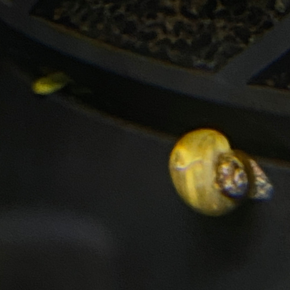 Mystery Snail