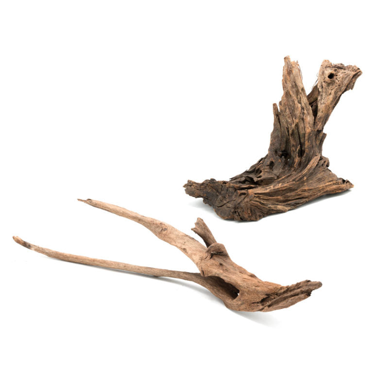 Malaysian Driftwood