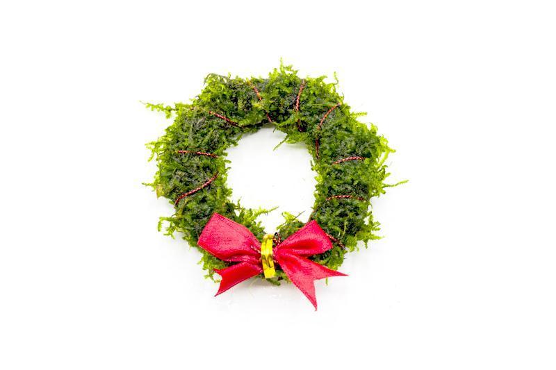 Christmas Moss Wreath