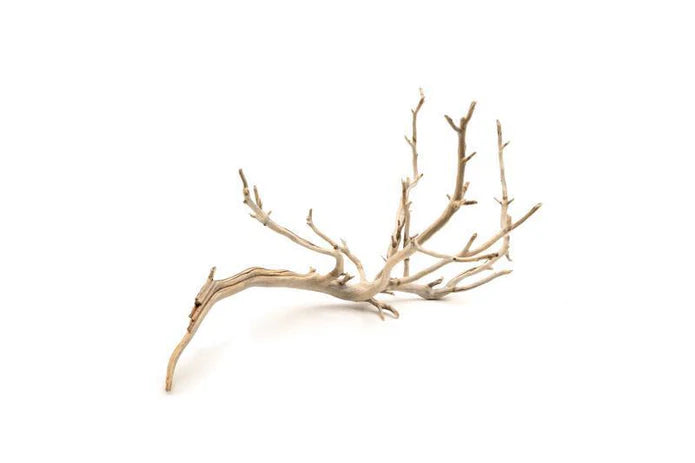 Manzanita Wood